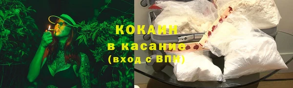 трава Аркадак