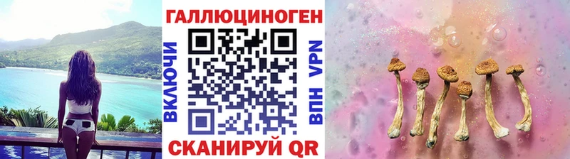 Купить закладки  Соль-Илецк  Псилоцибиновые грибы мухоморы 